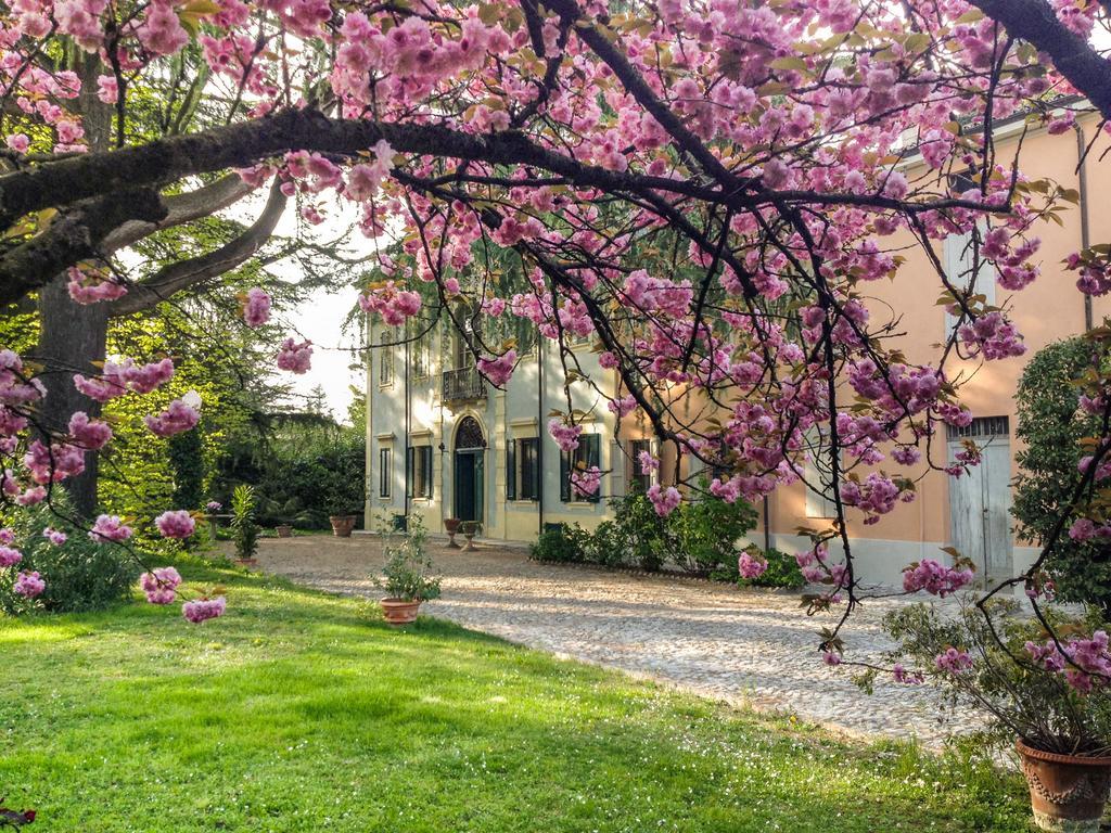 Corte Finzi Sala Baganza Buitenkant foto